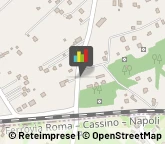 Psichiatria e Neurologia - Medici Specialisti,00039Roma