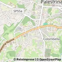 Map Palestrina
