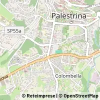 Carte Palestrina