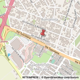 Mappa Via Leopoldo Micucci, 122, 00173 Roma, Roma (Lazio)