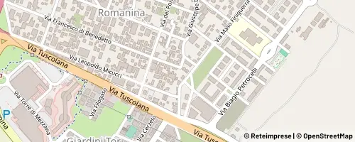 Mappa Roma