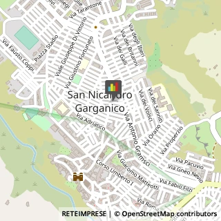 Ragionieri e Periti Commerciali - Studi San Nicandro Garganico,71015Foggia