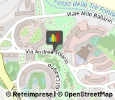 Veterinaria - Ambulatori e Laboratori,00142Roma