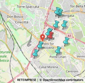 Mappa Via Torre di Mezzavia, 00100 Roma RM, Italia (1.63909)