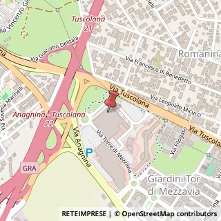 Mappa Via Torre di Mezzavia, 35, 00100 Roma, Roma (Lazio)