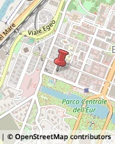 Viale Pasteur, 77,00144Roma