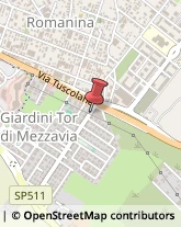 Via Gasperina, 304,00173Roma