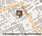 Ortofrutticoltura Squinzano,73018Lecce