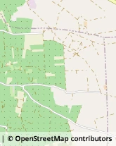 Distributori Carburante - Costruzione e Installazione Maglie,73024Lecce