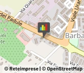 Appartamenti e Residence,58100Grosseto