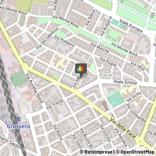 Logopedia,58100Grosseto