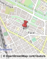 Via Adamello, 9 A/B,58100Grosseto