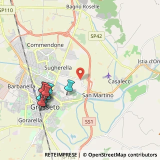 Mappa Strada Comunale di S. Martino, 58100 Grosseto GR, Italia (2.39538)
