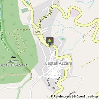 Consulenze Speciali Castell'Azzara,58034Grosseto