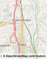 Articoli da Regalo - Dettaglio Montalto Uffugo,87046Cosenza