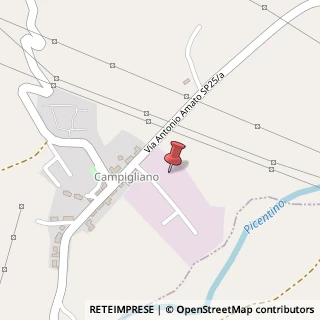 Mappa Zona industriale di Campigliano 11, 84099 San Cipriano Picentino SA, Italia, 84099 San Cipriano Picentino, Salerno (Campania)