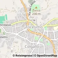 Kart Tricesimo