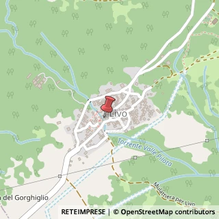 Mappa Via Serravalle, 120, 22010 Livo, Trento (Trentino-Alto Adige)