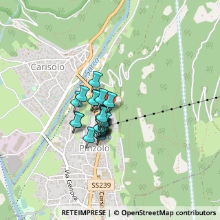Mappa Via Castagner, 38086 Pinzolo TN, Italia (0.2625)