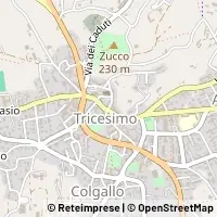 Carte Tricesimo