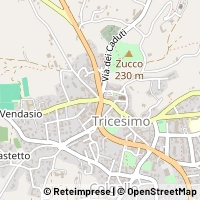 Карта Tricesimo