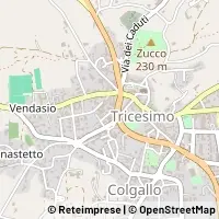 Karte Tricesimo