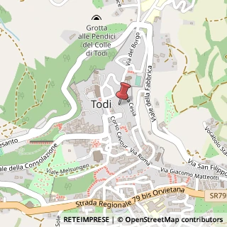 Mappa Via San Bonaventura, 13, 06059 Todi, Perugia (Umbria)