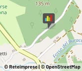 Nettezza Urbana - Servizio,57037Livorno