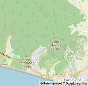 Mappa 58043 Castiglione della Pescaia GR, Italia (1.38947)