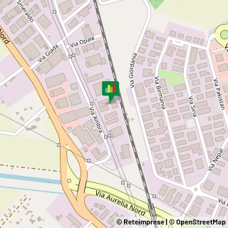 Via Ambra, 27,58100Grosseto