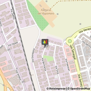 Logopedia,58100Grosseto