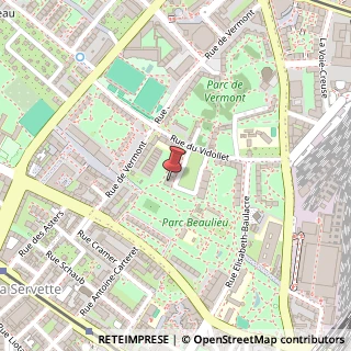 Mappa Rue du Vidollet, 17, 1202 Torino, Torino (Piemonte)