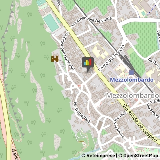 Palestre e Centri Fitness,38017Trento