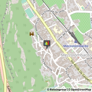 Palestre e Centri Fitness,38017Trento