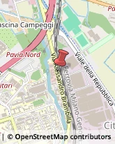 Viale Alessandro Brambilla, 70,27100Pavia