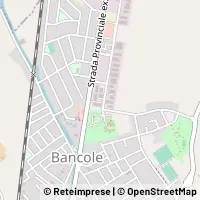 Carte Porto Mantovano