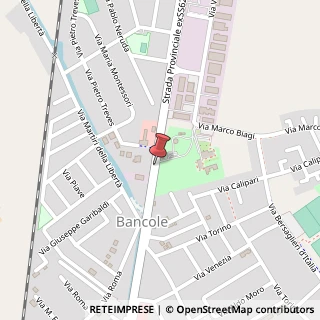 Mappa Strada Statale Cisa, 91, 46029 Porto Mantovano, Mantova (Lombardia)
