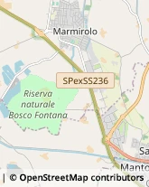 Assicurazioni Marmirolo,46045Mantova