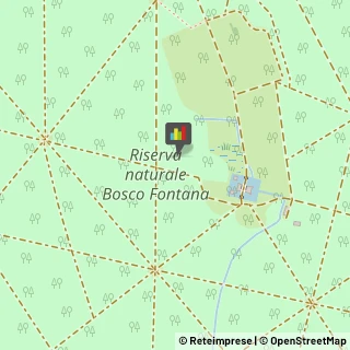 Riserve Naturali e Parchi,46045Mantova