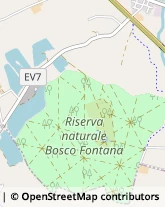 Via Tezzone, 44,46040Rodigo