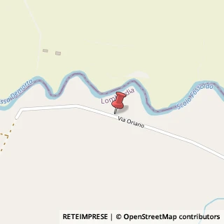 Mappa strada basso oriano, 6, 46033 Castel d'Ario, Mantova (Lombardia)