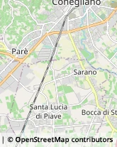 Stazioni di Servizio e Distribuzione Carburanti Santa Lucia di Piave,31025Treviso