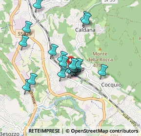 Mappa Via Larga, 21034 Cocquio-Trevisago VA, Italia (0.705)
