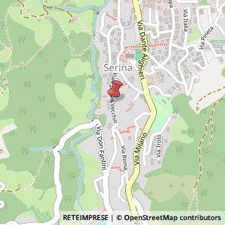 Mappa Via Palma il Vecchio, 20, 24017 Serina, Bergamo (Lombardia)