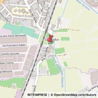 Mappa Via dei Mille, 77, 31015 Conegliano, Treviso (Veneto)