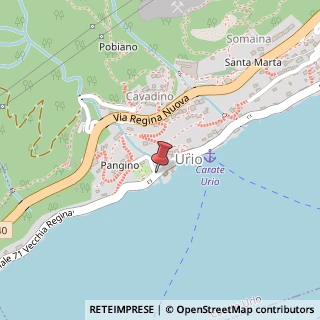 Mappa Via Pangino,  2, 22010 Carate Urio, Como (Lombardia)