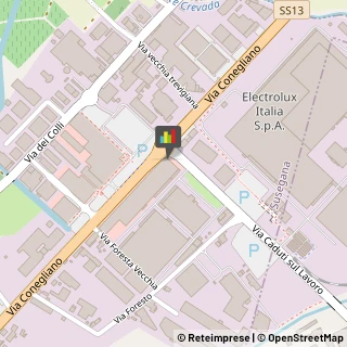 Palestre e Centri Fitness,31058Treviso