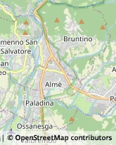 Assicurazioni Paladina,24030Bergamo