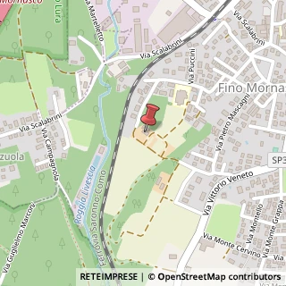 Mappa Via Donizetti, 2A, 22073 Fino Mornasco, Como (Lombardia)