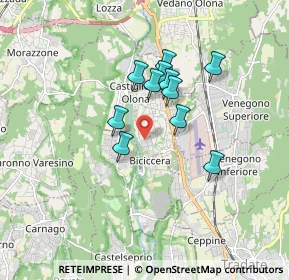 Mappa Via Arno, 21043 Castiglione Olona VA, Italia (1.31455)